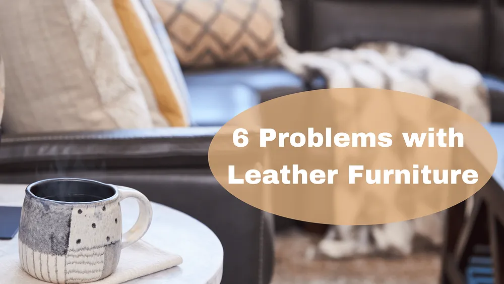 6 Common Problems with Leather Furniture: Expert Tips on